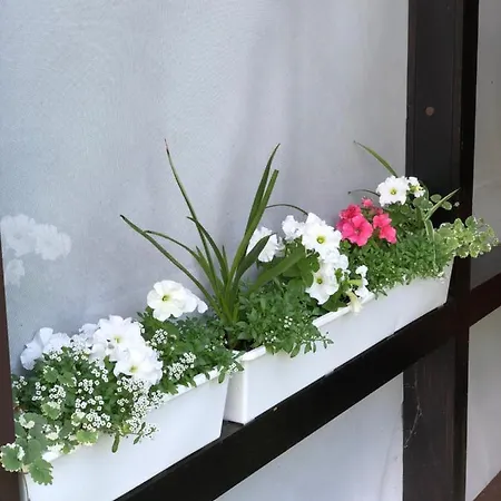 Osokor Lake House 2 Βίλα